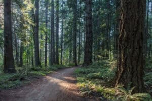 how to pay for TMS therapy transcranial magnetic stimulation depression portland oregon medicare insurance